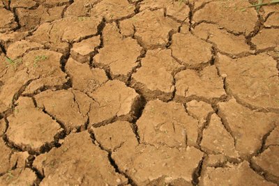 Cracked Soil on a Crop Field During the Dry Season, Lagos, Nigeria by Unknown